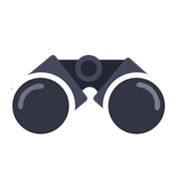 vision